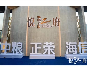 温州南京悦江府项目